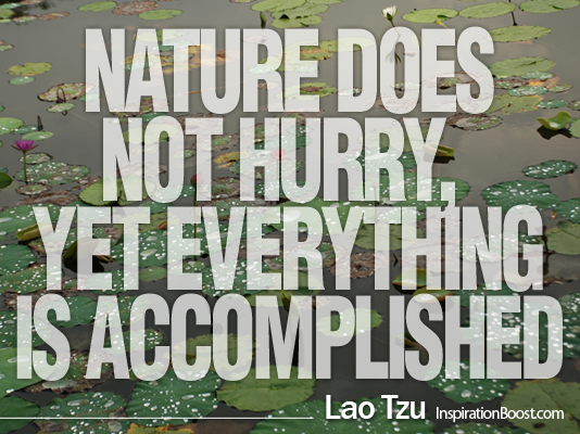 Lao Tzu, Lao Tzu Quotes, Quotes, Lao Tzu Words, Lao Tzu Quote, te tao ching, laotzu, quotes from Lao Tzu