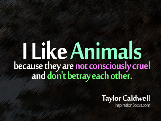 I like Animal, Taylor Cardwell, like a animal, like an animal, I like Animals, animal quotes, love animal, relationship quotes,