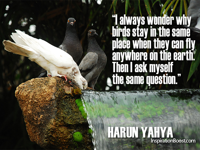 Harun Yahya Quotes