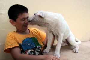 Dog loves Ken the one who save them - Happy Animals Club