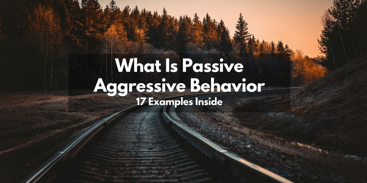 Traits of passive aggressive man
